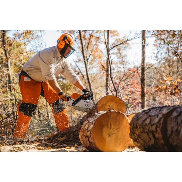 STIHL MS 311