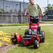 Turf Teq Power Edger